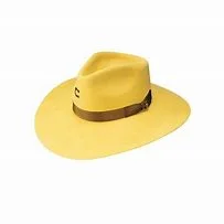 Charlie 1 Horse Highway Hat