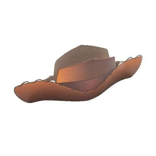 Disneys Toy Story 4 Woody Cowboy Hats